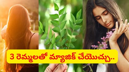 కరివేపాకు నీళ్లతో ఇలా చేస్తే జుట్టు రాలమన్నా రాలదు..