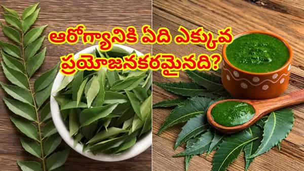 కరివేపాకు vs వేపాకు: ఆరోగ్యానికి ఏది ఎక్కువ ప్రయోజనకరమైనది? పోషకాల పోలిక ఇదే!