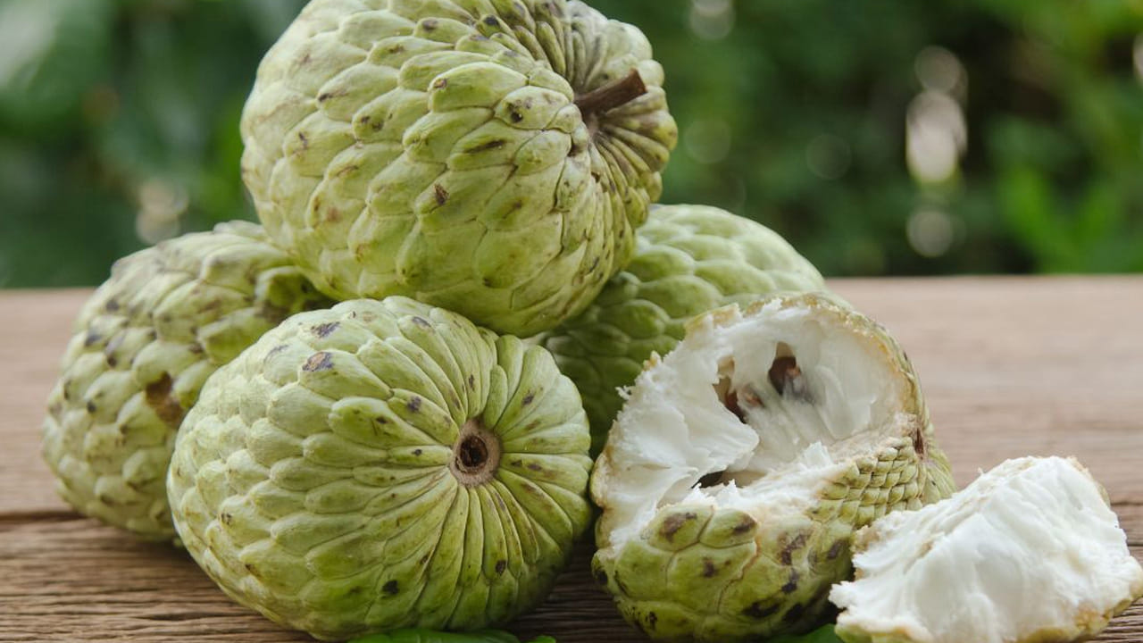Custard Apple 1
