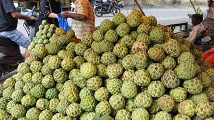 సీతాఫలానికి ఎల్‌నినో దెబ్బ