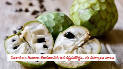   సీతాఫలం గింజలు తీయడానికి ఇక కష్టపడొద్దు.. ఈ చిట్కాలు చాలు