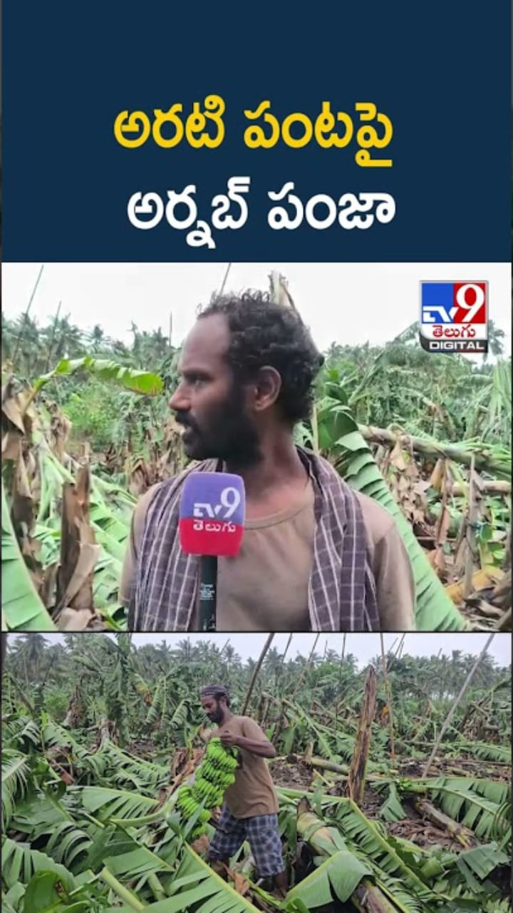 Cyclone Arnab Effect: అయ్యో.. అరటి పంటపై అర్నబ్‌ తుఫాను పంజా