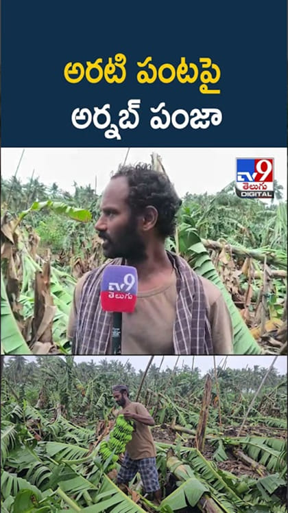 Cyclone Arnab Effect: అయ్యో.. అరటి పంటపై అర్నబ్‌ తుఫాను పంజా