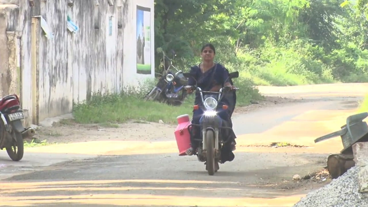 Telangana: ఆ ఊరు ఓ పాల పుంత.. ఊరంతా పాడి పరిశ్రమే.. ఏకంగా 2,035 జెర్సీ ఆవులు, 380 పాడి గేదెలు