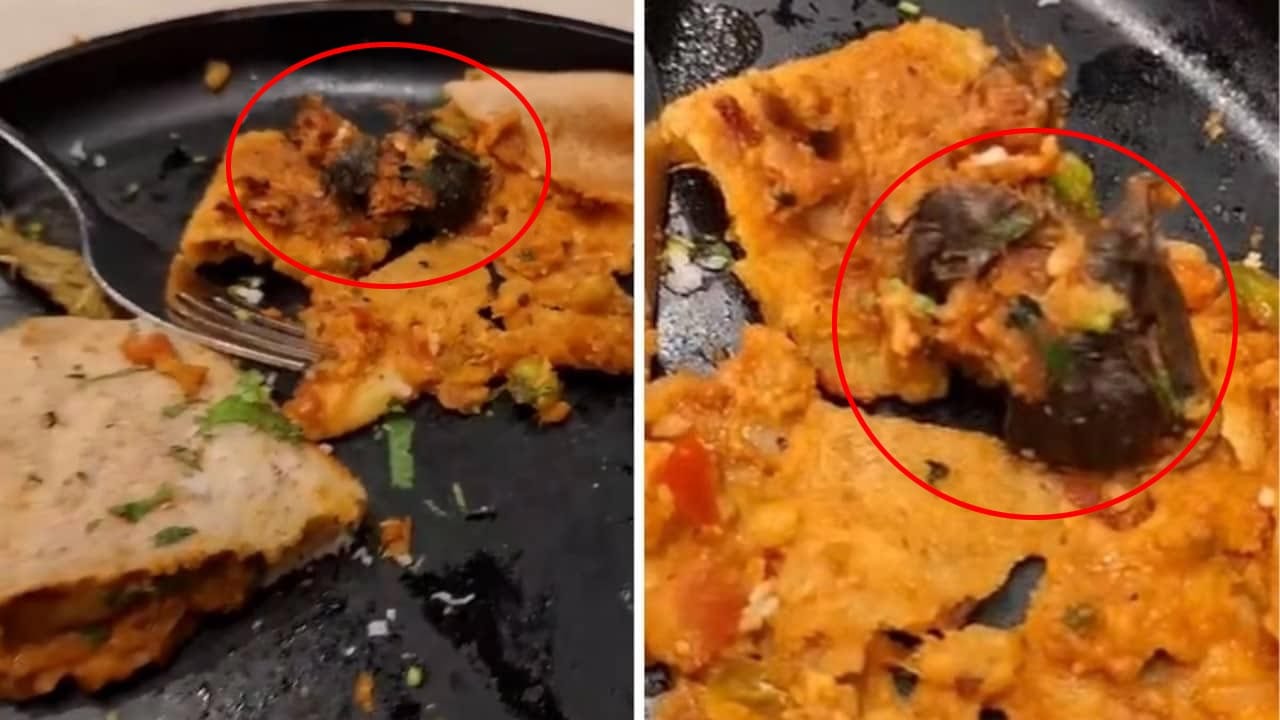 Dead Rat In Dosa