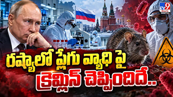 రష్యాలో ప్లేగు వ్యాధి పై క్రెమ్లిన్ చెప్పిందిదే రష్యాలో ప్లేగు వ్యాధి పై క్రెమ్లిన్ చెప్పిందిదే