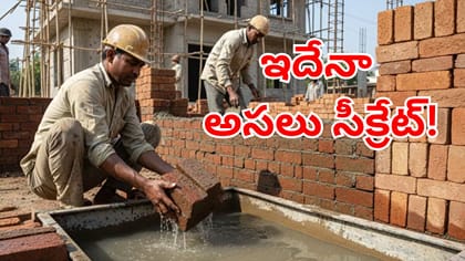 గోడ కట్టేముందు.. ఇటుకలను నీటిలో ఎందుకు నానబెట్టాలో తెలుసా?