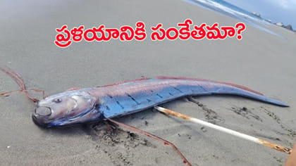 తీరానికి కొట్టుకొచ్చిన ‘ఓర్‌ఫిష్‌’.. దేనికి సంకేతం?
