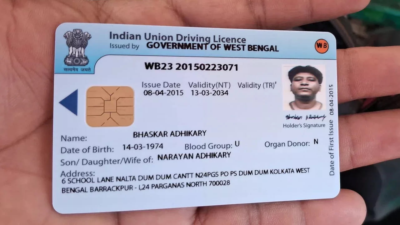 Driving Licence 1
