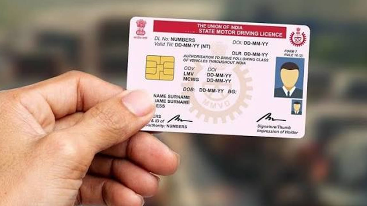 Driving Licence 2