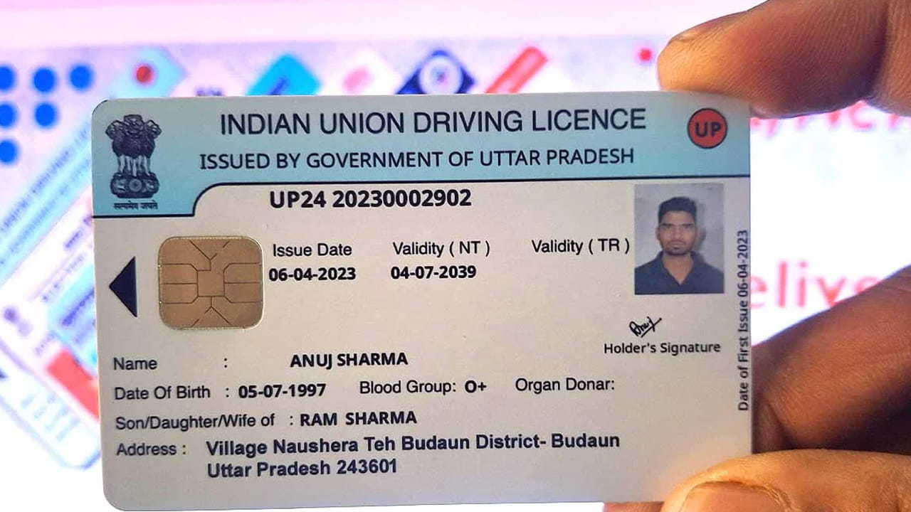 Driving Licence 3