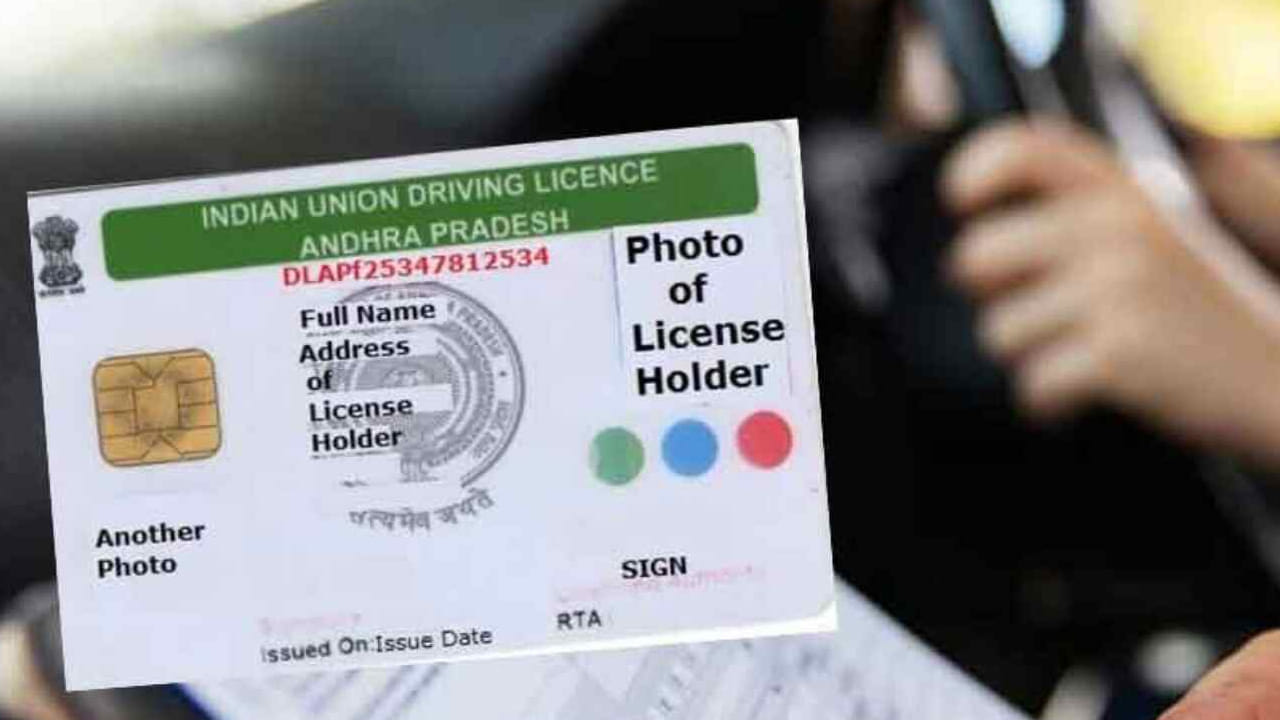 Driving Licence 4