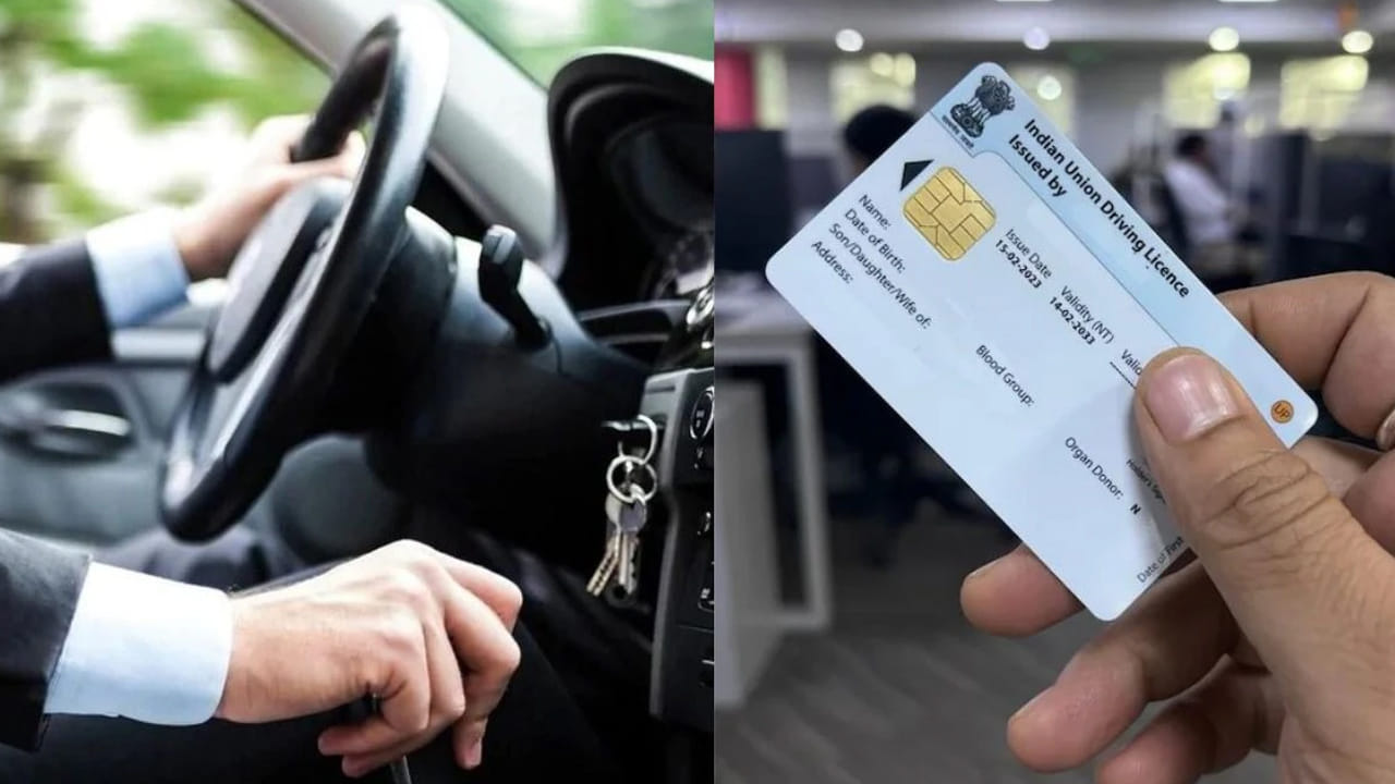 Driving Licence 5