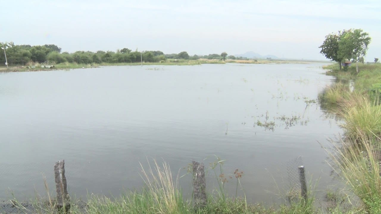 Drought Management