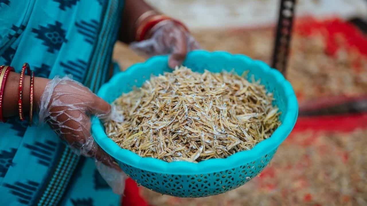 మొదటగా మార్కెట్కు వెళ్లి మంచిగా ఎండిన చేపలను తీసుకురండి. ఇంటకొచ్చాక వాటిలోని వ్యర్థాలను పూర్తిగా తొలగించి. చిన్న చిన్న ముక్కలుగా కట్చేయండి.. ఇప్పుడు కత్తిరించిన చేప ముక్కలను నీటిలో వేసి బాగా కడగాలి. ముక్కలు తెల్లగా మారే వరకు, నీచు వాసన పూర్తిగా పోయేంత వరకు కడగాలి. తర్వాత వాటిని ఒక ప్లేట్లోకి తీసుకుని, ఒకదానిపై ఒకటి లేకుండా పేర్చాలి. వీటిని ఎండలో లేదా కిటికీలో కొద్దిసేపు ఆరబెట్టాలి. ముక్కలలోని తేమ పూర్తిగా పోవడం వల్ల అవి బాగా వేగుతాయి.