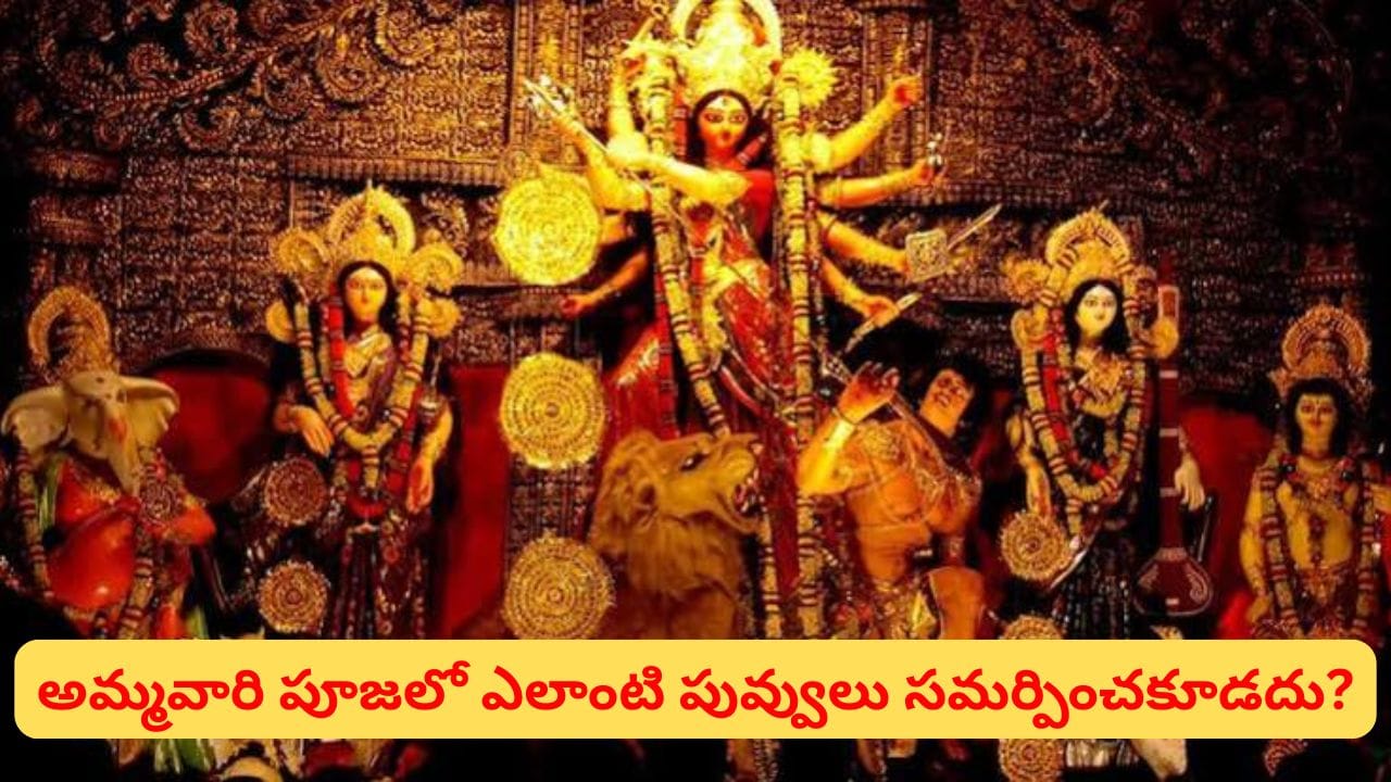 Navratri: నవరాత్రుల 9 రోజులు.. శైలపుత్రి నుంచి సిద్ధిదాత్రి వరకు ఏ రోజు ఏ పువ్వులు సమర్పించాలో తెలుసా?