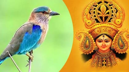 దసరా నాడు పాలపిట్ట దర్శనం ఎందుకు చేసుకోవాలో తెలుసా?