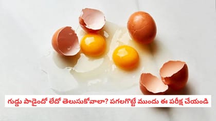 గుడ్డు పాడైందో లేదో తెలుసుకోవాలా? పగలగొట్టే ముందు ఈ పరీక్ష చేయండి