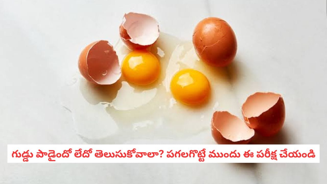 Fresh Eggs Test: గుడ్లు తాజాగా ఉన్నాయా? పాడయ్యాయా? పగలగొట్టే ముందు ఈ పరీక్ష చేయండి!