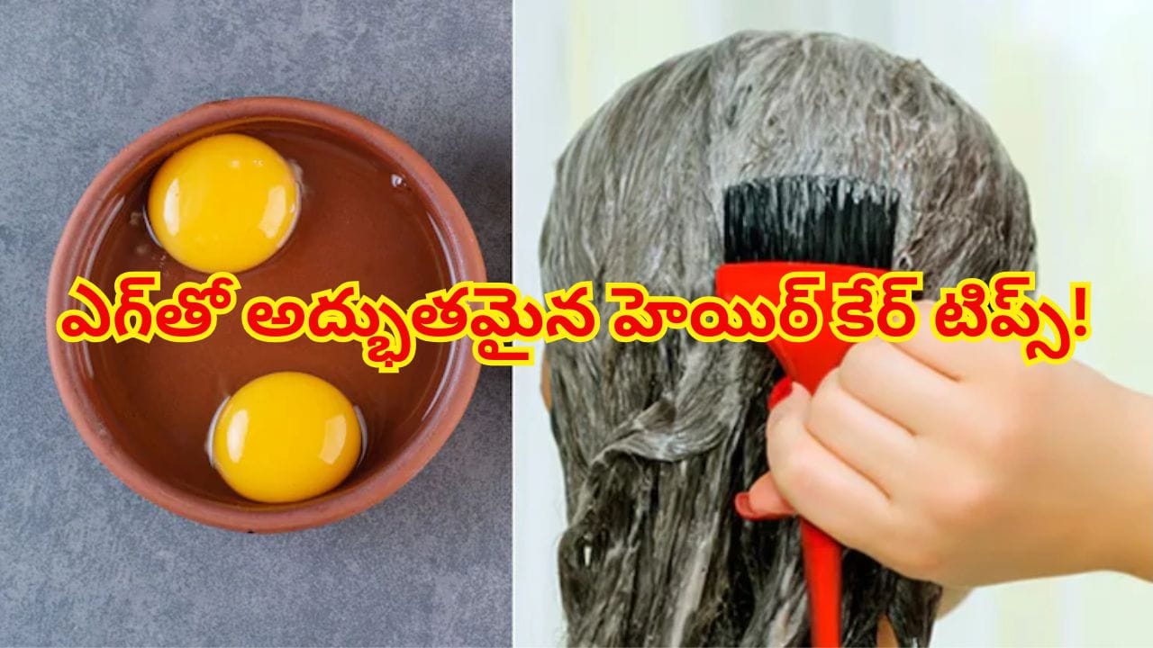 ఒత్తైన, సిల్కీ జుట్టు కోసం గుడ్డును ఎలా ఉపయోగించాలి? అద్భుతమైన హెయిర్ కేర్ టిప్స్!