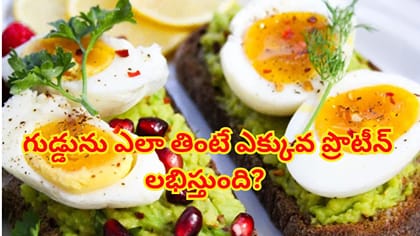 గుడ్డును ఎలా వండి తింటే ఎక్కువ ప్రొటీన్ లభిస్తుంది? ఉడకబెట్టాలా?