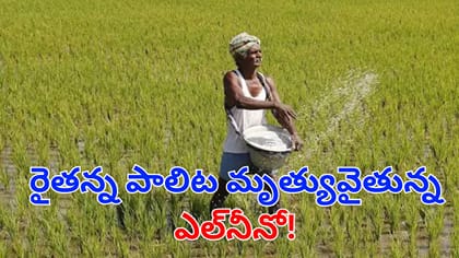 ఎల్‌నీనో ఎఫెక్ట్.. ఏపీ రైతుల్లో పెరుగుతున్న కిడ్నీ సమస్యలు