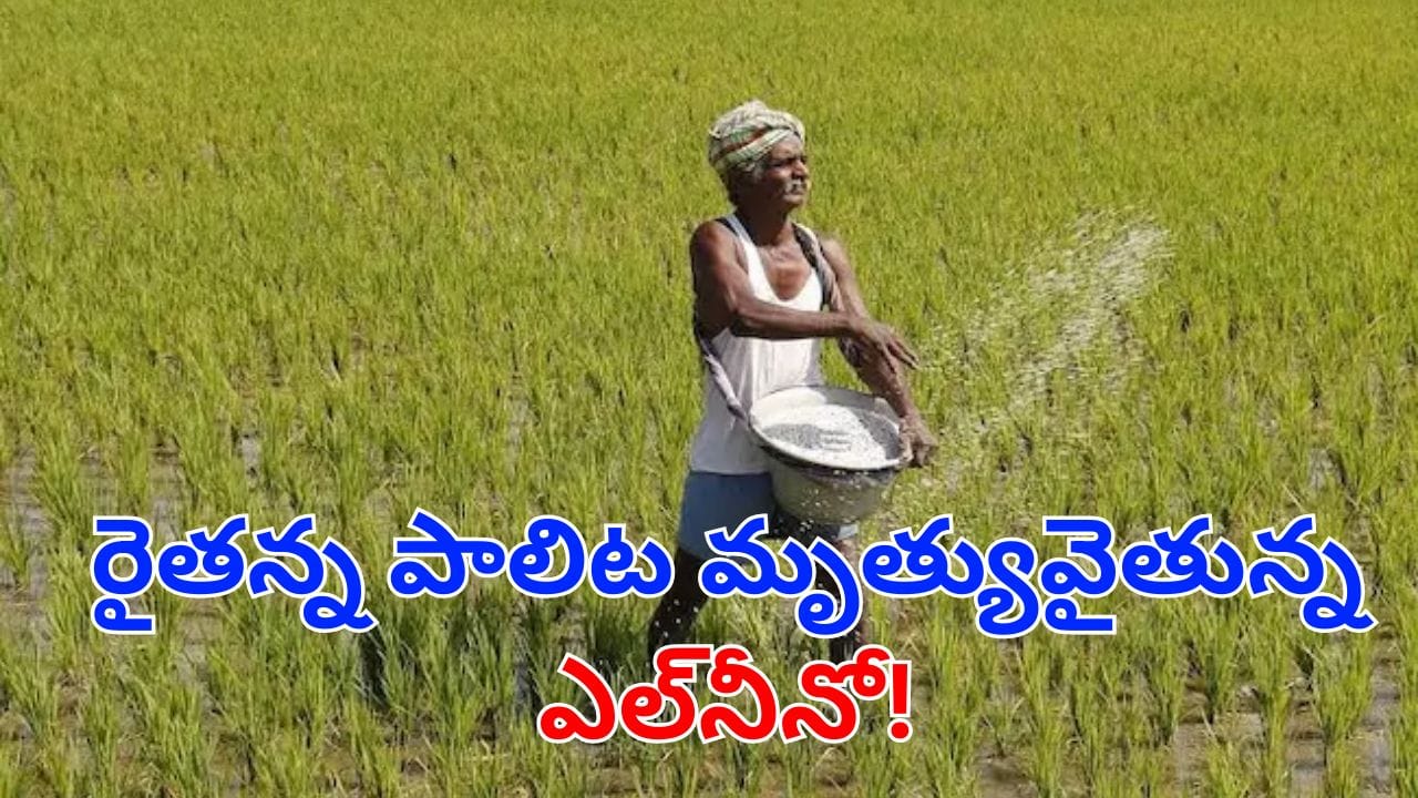 El Nino: ఎల్నీనో ఎఫెక్ట్.. ఏపీ రైతుల్లో పెరుగుతున్న కిడ్నీ సమస్యలు.. తాజా నివేదికల్లో..