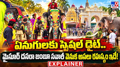 ఏనుగులకు స్పెషల్ డైట్..