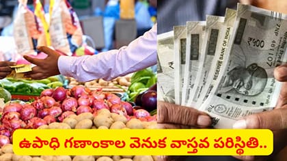 భారత్‌లో ఉపాధి రంగం అసలు పరిస్థితి ఇదే..