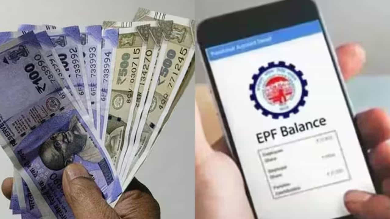 ఈ శిబిరాల్లో మీరు ఈపీఎఫ్ఓ అధికారులను నేరుగా సంప్రదించి మీ సమస్యలు తెలియజేయవచ్చు. పీఎఫ్ సేవలకు సంబంధించి మీ సందేహాలు, అనుమానాలను నివృత్తి చేసుకోవచ్చు. ఈ క్యాంపుల్లో సేవా కియోస్క్లు, సహాయ కేంద్రాలు ఏర్పాటు చేస్తారు. ఇక్కడ పీఎఫ్ అధికారులను నేరుగా కలిసి వారితో మాట్లాడుకోవచ్చు. పీఎఫ్ ప్రయోజనాల గురించి ఖాతాదారులకు అధికారులు వివరిస్తారు.