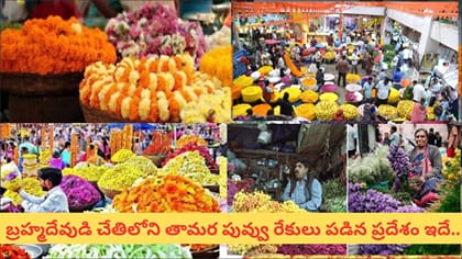 భారతదేశంలో చూడాల్సిన 8 అద్భుతమైన పూల మార్కెట్లు..