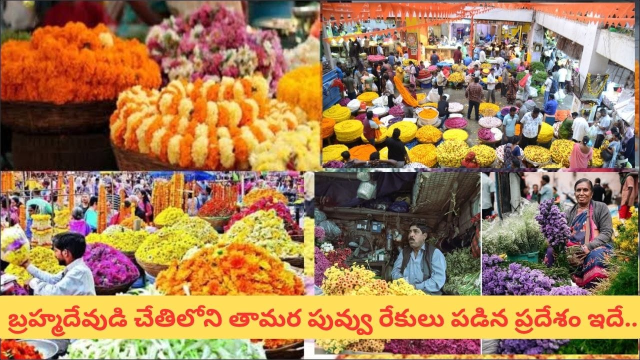 భారతదేశంలో చూడాల్సిన 8 అద్భుతమైన పూల మార్కెట్లు.. రంగులు, సువాసనలతో కనువిందు చేసే ప్రదేశాలివే!