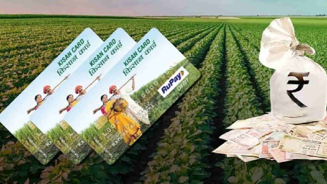 Andhra Pradesh: ఏపీలోని రైతులకు బిగ్ రిలీఫ్.. బ్యాంక్ రుణాలు చెల్లించనక్కర్లేదు..