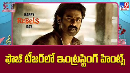 ఫౌజీ టీజర్‌లో ఇంట్రస్టింగ్ హింట్స్‌