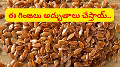 ఆడవారి ఆరోగ్యానికి ఈ గింజలు వరం లాంటివి..