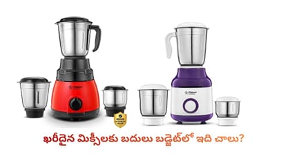 ఖరీదైన మిక్సీలకు బదులు బడ్జెట్‌లో ఇది చాలు?