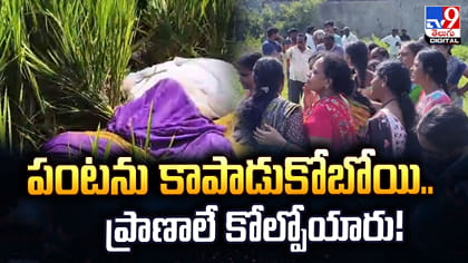పంటను కాపాడుకోబోయి.. ప్రాణాలే కోల్పోయారు!