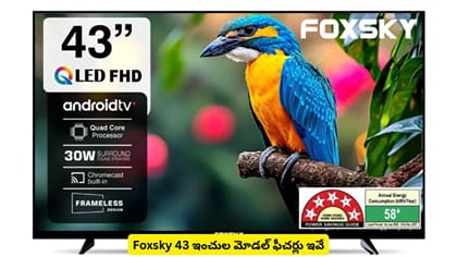 Foxsky 43 ఇంచుల మోడల్ ఫీచర్లు ఇవే