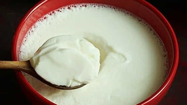 Fresh Curd: ఫ్రిజ్ లేకుండా పెరుగు 3 రోజులు తాజాగా ఉండాలంటే ఈ చిట్కాలు పాటించండి!