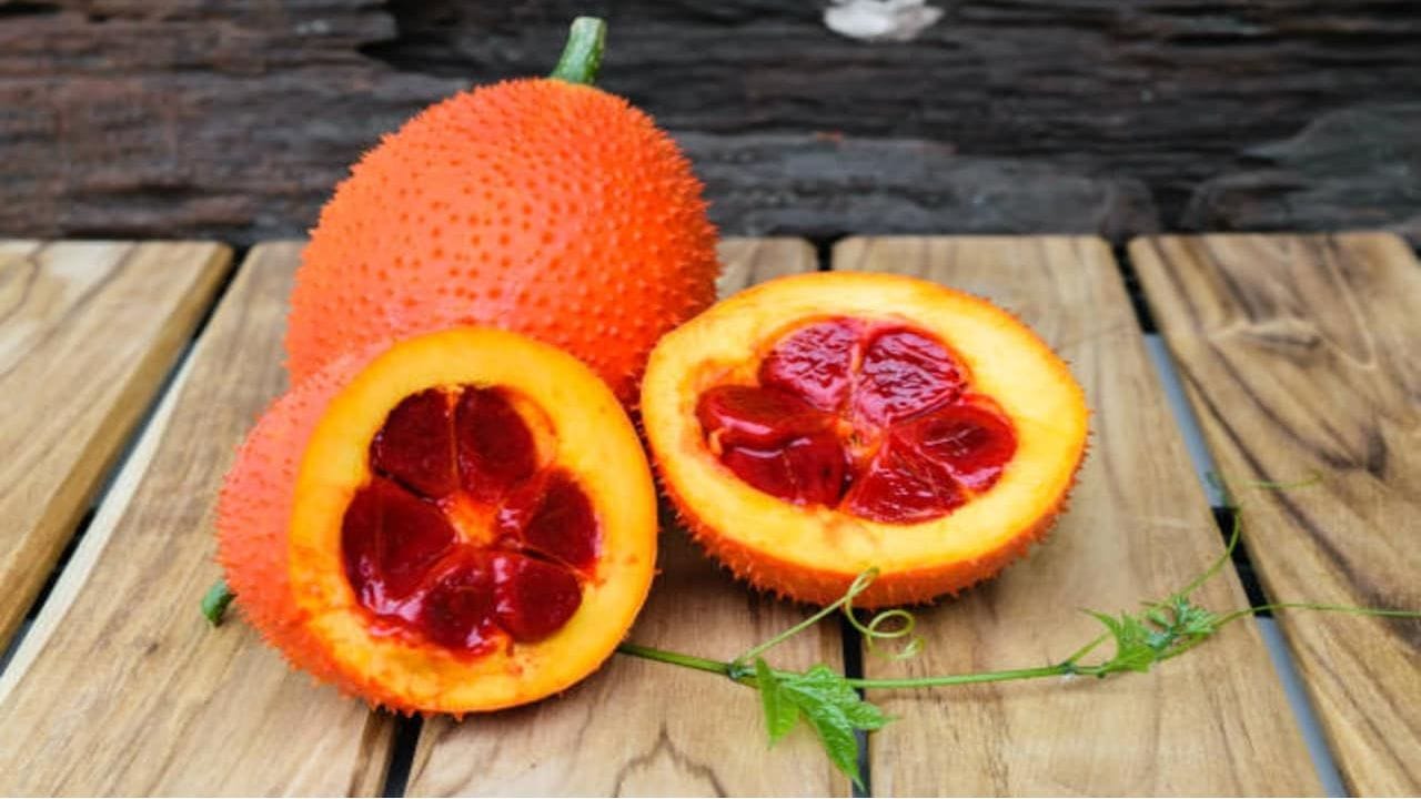 Gac Fruit Farming