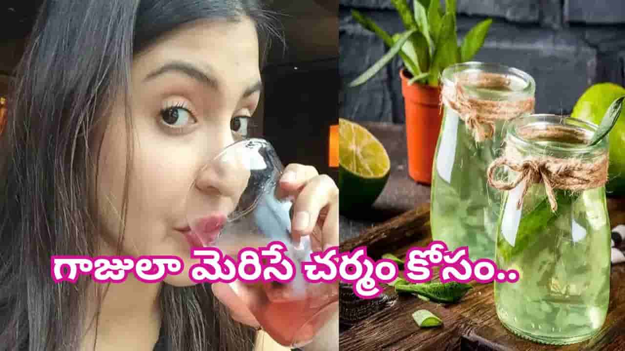 గాజులా మెరిసే చర్మం కావాలా? ప్రతిరోజూ తాగాల్సిన 5పవర్ఫుల్ డ్రింక్స్ ఇవే!