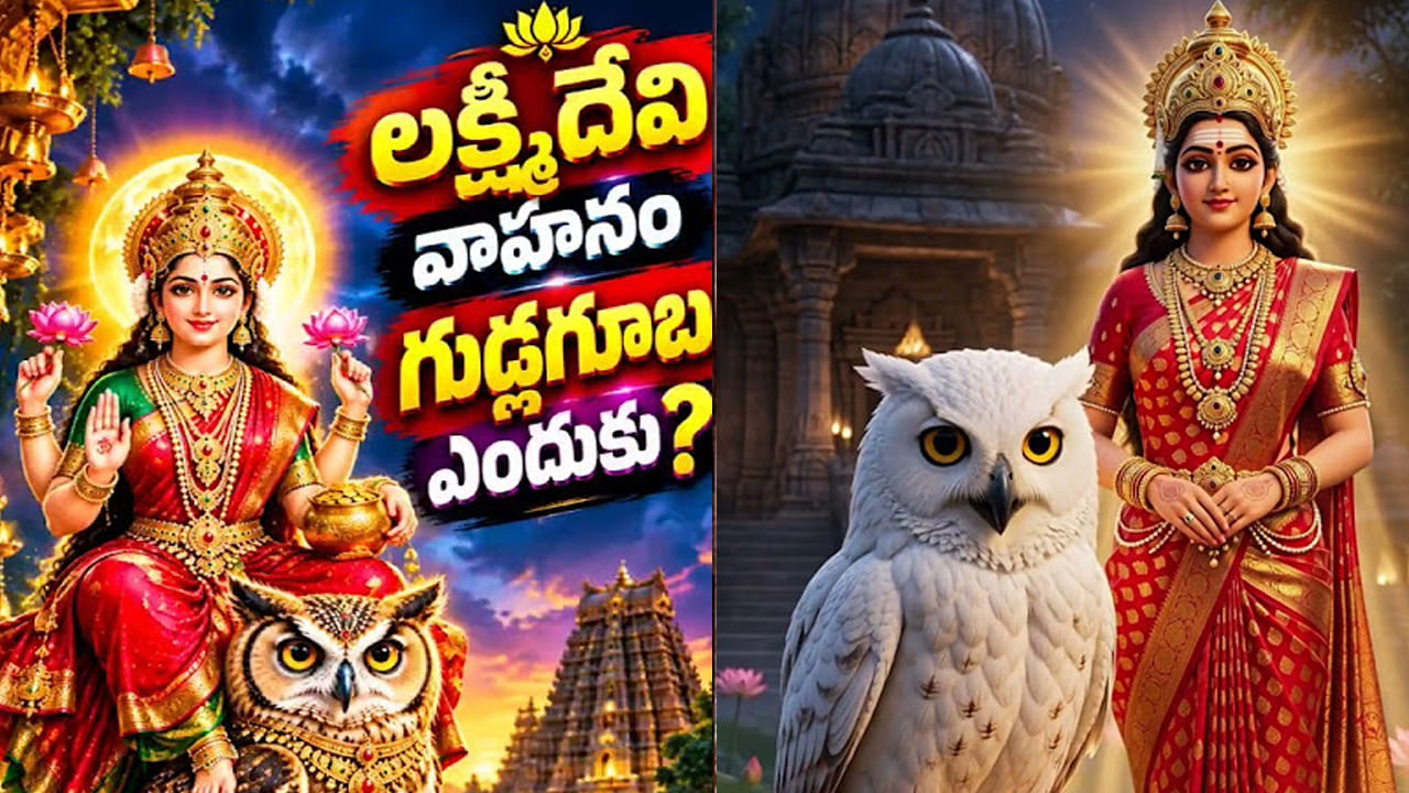 మహాలక్ష్మీ వాహనం గుడ్లగూబ ఎలా అయ్యింది? నారదుడికి సంగీతం నేర్పిన ఆ గురువు కథ ఇదే!