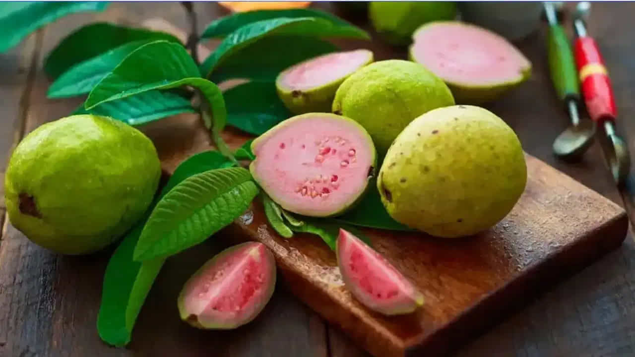 షుగర్, గుండె ఆరోగ్యంపై కూడా ఈ రెండు పండ్లు విశేషమైన ప్రభావాన్ని చూపుతాయి. జామకాయలో తక్కువ గ్లైసెమిక్ ఇండెక్స్, అధిక పీచు ఉండటం వల్ల రక్తంలోకి చక్కెర వేగంగా చేరకుండా నిరోధిస్తుంది. 2016 నాటి ఒక పరిశోధన ప్రకారం తొక్క తీసిన జామకాయ రక్తంలో గ్లూకోజ్ స్థాయిలను నియంత్రించడంలో ప్రభావవంతంగా పనిచేస్తుందని తేలింది. అలాగే ఇందులోని పొటాషియం, మెగ్నీషియం గుండెకు రక్షణ కల్పిస్తాయి. ఇక ఉసిరికాయ ఇన్సులిన్ సున్నితత్వాన్ని మెరుగుపరిచి చక్కెర స్థాయిలను సమర్థవంతంగా అదుపు చేస్తుంది. రక్తనాళాలను పటిష్టపరిచి, శరీరంలో పేరుకుపోయే చెడు కొలెస్ట్రాల్ను తగ్గించడంలో ఉసిరి మరింత ప్రభావవంతంగా ఉపయోగపడుతుంది.