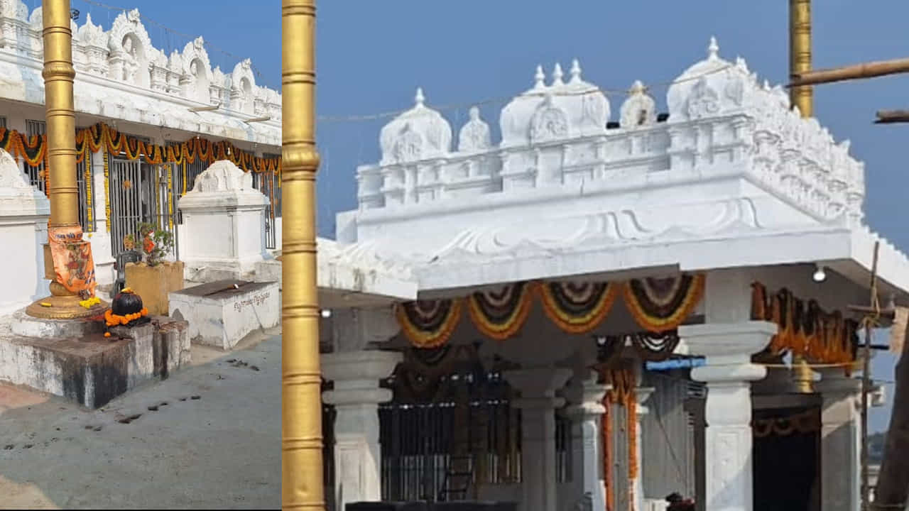 జగిత్యాల జిల్లా, మెట్పల్లి మండలం పరిధిలోని వెల్లూల గ్రామం ఆధ్యాత్మికతకు పెట్టింది పేరు. దాదాపు నాలుగు వేల జనాభా ఉన్న ఈ ఊరిలోకి అడుగుపెట్టగానే ఎటు చూసినా హనుమంతుడి ఆలయాలే కనిపిస్తాయి. పూర్వ కాలం నుంచి ఈ గ్రామంలో ఒక ప్రత్యేక ఆచారం కొనసాగుతోంది. ఇక్కడ పూర్వం నివసించిన బ్రాహ్మణ కుటుంబాలు, భక్తులు తమ కోరికలు నెరవేరినప్పుడల్లా స్వామివారిపై భక్తితో ఒక్కో ఆలయాన్ని నిర్మించుకుంటూ వచ్చారు.