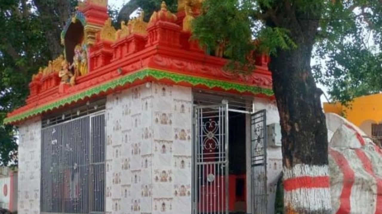 సాధారణంగా ఏ ఊళ్లో చూసినా ఒకటి లేదా రెండు ఆంజనేయ స్వామి ఆలయాలు ఉండటం సహజం. కానీ ఆ ఊరికి వెళ్తే మాత్రం అడుగడుగునా హనుమాన్ ఆలయాలే దర్శనమిస్తాయి. గల్లీకో గుడి.. ఇంటికో సంప్రదాయంలా ఏకంగా 50కి పైగా హనుమాన్ దేవాలయాలు కొలువైన ఆ అరుదైన గ్రామం విశేషాలు ఇప్పుడు చూద్దాం.