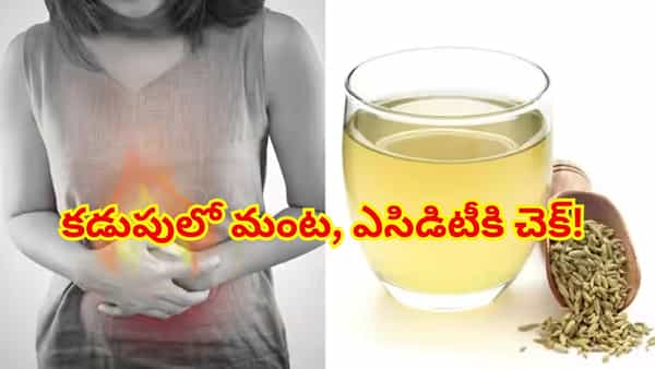 కడుపులో మంట, ఎసిడిటీ ఇబ్బంది పెడుతున్నాయా? జీర్ణక్రియను మెరుగుపరిచే ఆయుర్వేద చిట్కాలు!