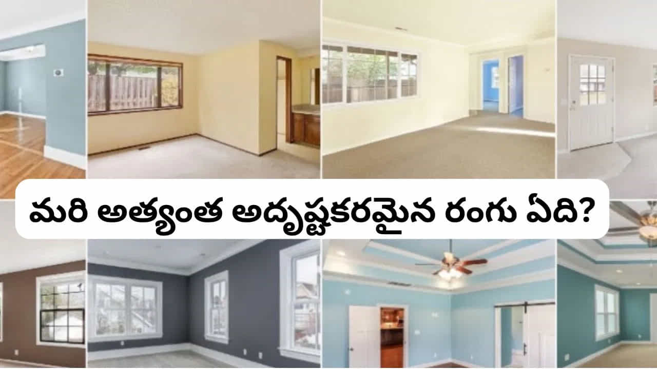 3. పడకగదిలో నలుపు రంగును అధికంగా వాడకండి..
పడకగది విశ్రాంతికి, ప్రశాంతతకు అనువైన ప్రదేశం. వాస్తు సంప్రదాయాల ప్రకారం, ఈ గదిలో నలుపు రంగును ఎక్కువగా ఉపయోగించడం మంచిది కాదని భావిస్తారు. ముఖ్యంగా నైరుతి దిశలోని పడకగదికి లేత గోధుమ, క్రీమ్, పీచ్ వంటి రంగులను ఎంచుకోవచ్చు. ఇవి గదికి హాయిగా, వెచ్చగా ఉండే రూపాన్ని ఇస్తాయి.