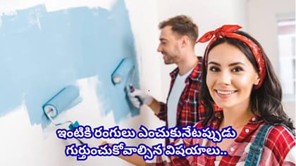 అన్ని రంగులూ శుభప్రదం కాదు.. వాస్తు ప్రకారం మీ ఇంటికి ఏ రంగు..