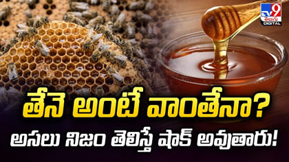 తేనె అంటే వాంతేనా? అసలు నిజం తెలిస్తే షాక్ అవుతారు