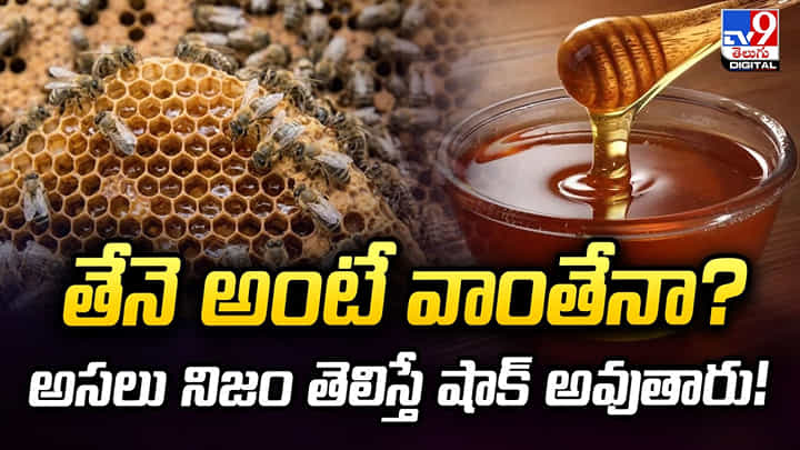 Honey: తేనె అంటే వాంతేనా? అసలు నిజం తెలిస్తే షాక్ అవుతారు Honey: తేనె అంటే వాంతేనా? అసలు నిజం తెలిస్తే షాక్ అవుతారు
